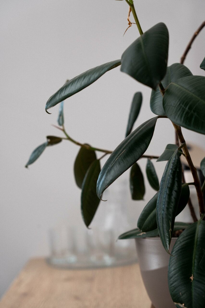 Гостиница Олимп Туапсе-37