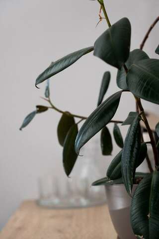 Гостиница Олимп Туапсе Номер делюкс комфорт с 1 двуспальной кроватью-4